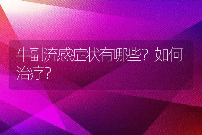 牛副流感症状有哪些？如何治疗？ | 兽医知识大全