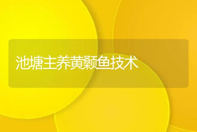 池塘主养黄颡鱼技术 | 动物养殖