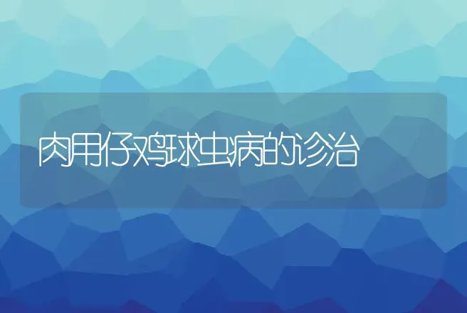 肉用仔鸡球虫病的诊治 | 动物养殖