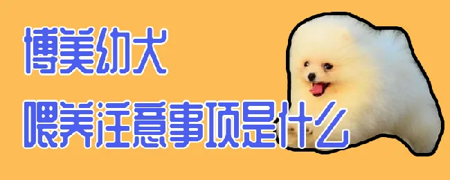 博美幼犬喂养注意事项是什么 | 宠物病虫害防治