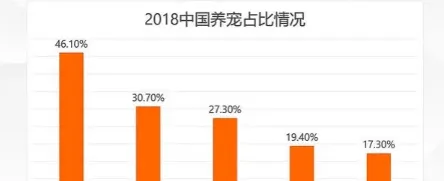 700亿老年宠物市场为何被忽视? | 宠物新闻资讯