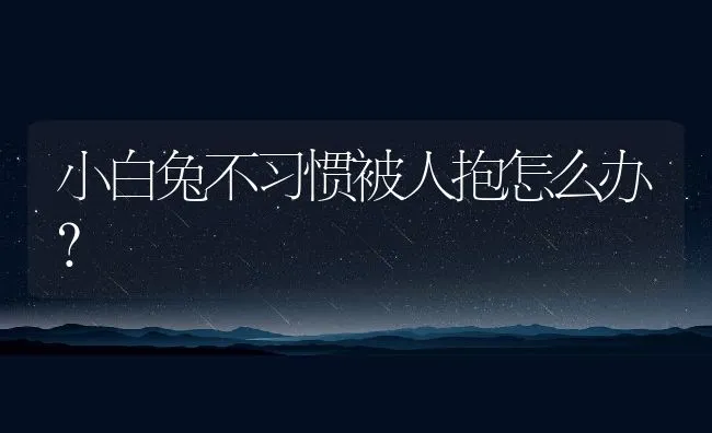 小白兔不习惯被人抱怎么办？ | 宠物喂养