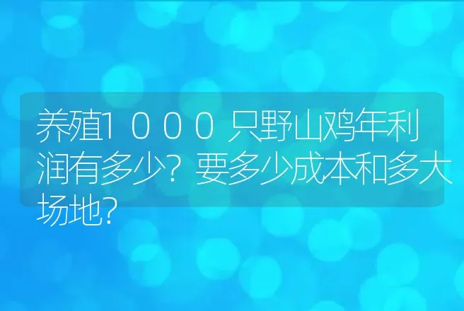 养殖1000只野山鸡年利润有多少？要多少成本和多大场地？ | 养殖致富