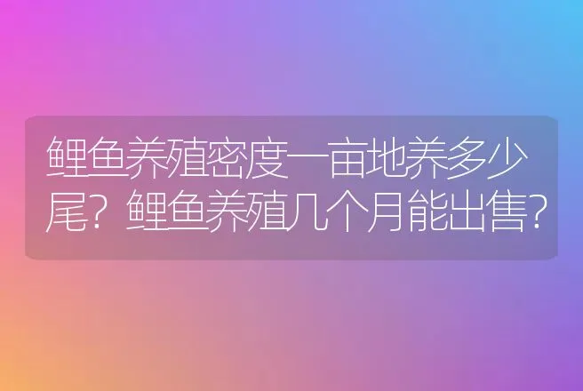 鲤鱼养殖密度一亩地养多少尾？鲤鱼养殖几个月能出售？ | 水产知识