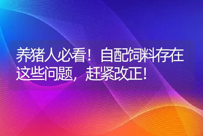 养猪人必看！自配饲料存在这些问题，赶紧改正！ | 家畜养殖