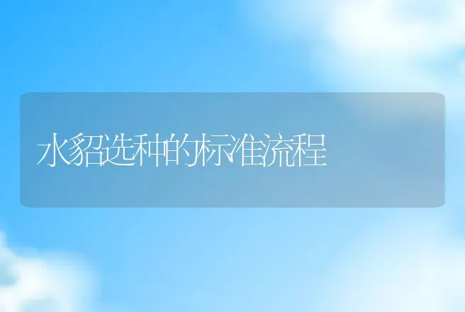 水貂选种的标准流程 | 动物养殖