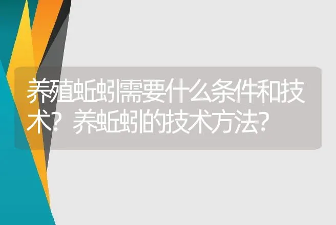 养殖蚯蚓需要什么条件和技术？养蚯蚓的技术方法？ | 特种养殖