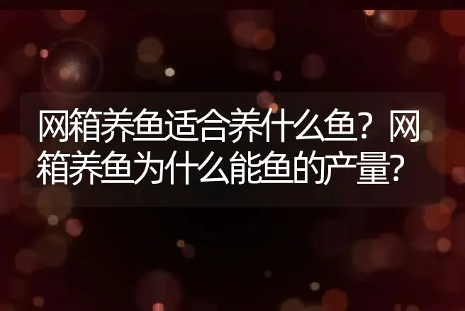 网箱养鱼适合养什么鱼？网箱养鱼为什么能鱼的产量？ | 动物养殖