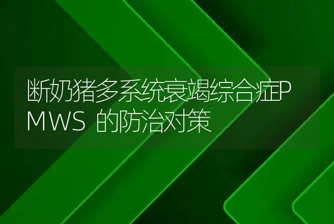 断奶猪多系统衰竭综合症PMWS的防治对策 | 动物养殖