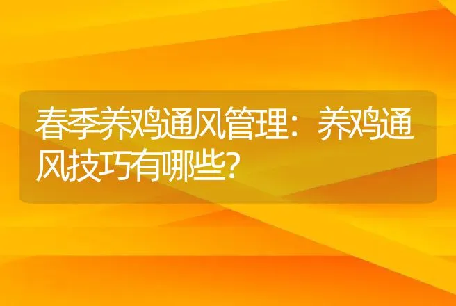 春季养鸡通风管理：养鸡通风技巧有哪些？ | 家禽养殖