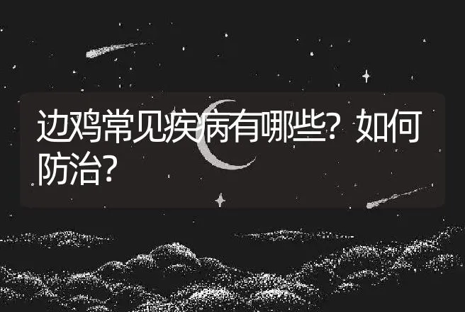 边鸡常见疾病有哪些？如何防治？ | 兽医知识大全