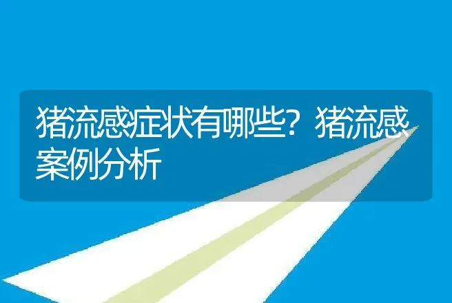 猪流感症状有哪些？猪流感案例分析 | 兽医知识大全