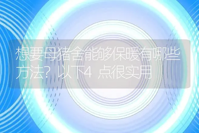 想要母猪舍能够保暖有哪些方法？以下4点很实用 | 养殖致富