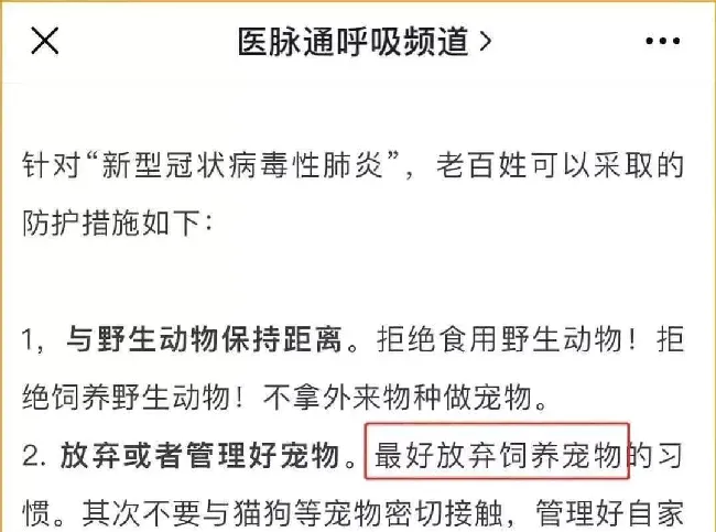 武汉肺炎最让人愤怒的事：最好弃养你的宠物/拒绝接触宠物! | 宠物新闻资讯