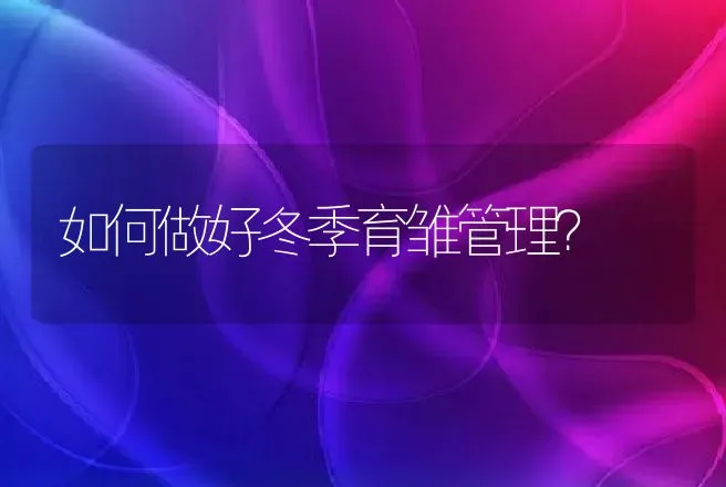 如何做好冬季育雏管理？ | 家禽养殖