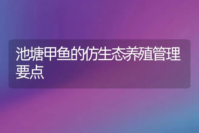 池塘甲鱼的仿生态养殖管理要点 | 动物养殖