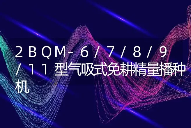 2BQM-6/7/8/9/11型气吸式免耕精量播种机 | 养殖