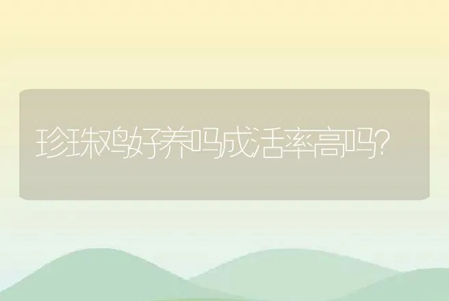 珍珠鸡好养吗成活率高吗？ | 家禽养殖