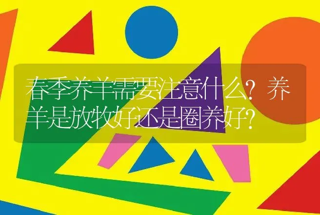 春季养羊需要注意什么？养羊是放牧好还是圈养好? | 家畜养殖