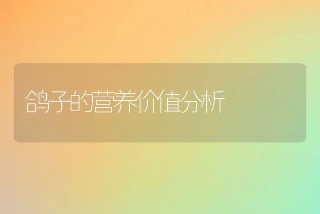 鸽子的营养价值分析 | 动物养殖