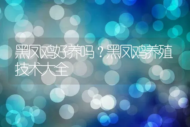奶牛布鲁氏杆菌病的防治 | 家畜养殖