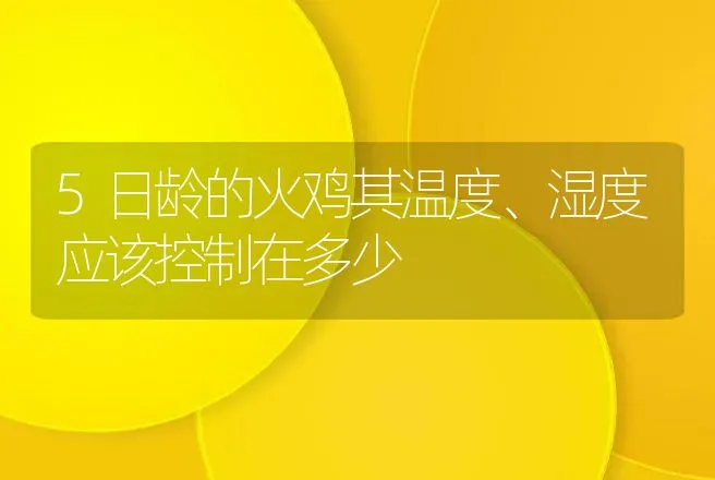 5日龄的火鸡其温度、湿度应该控制在多少 | 动物养殖