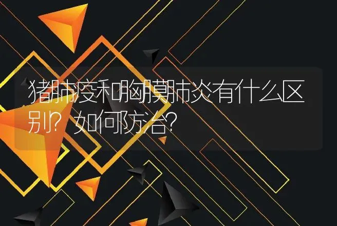 猪肺疫和胸膜肺炎有什么区别？如何防治？ | 兽医知识大全