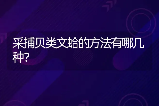 采捕贝类文蛤的方法有哪几种？ | 渔业捕捞