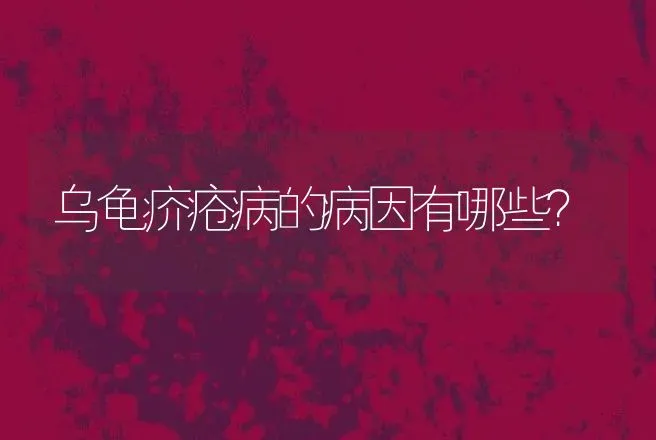 乌龟疥疮病的病因有哪些？ | 兽医知识大全