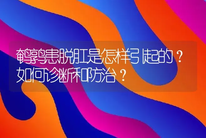 鹌鹑患脱肛是怎样引起的？如何诊断和防治？ | 动物养殖