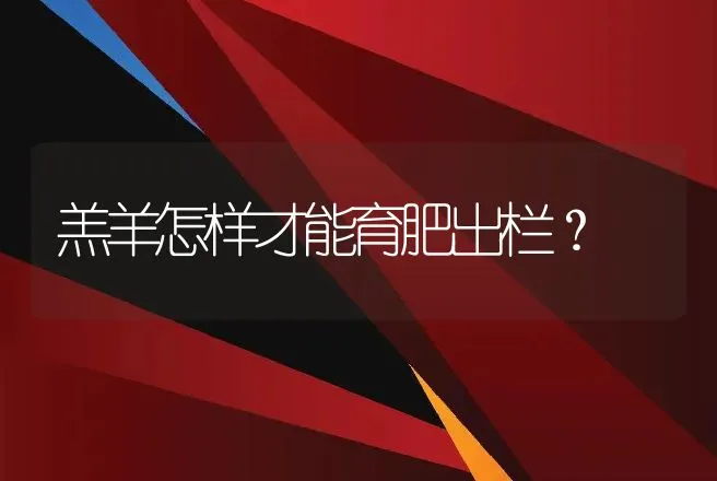 羔羊怎样才能育肥出栏？ | 家畜养殖