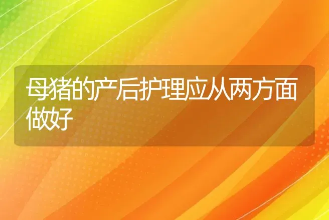 母猪的产后护理应从两方面做好 | 兽医知识大全