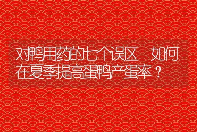 对鸭用药的七个误区 如何在夏季提高蛋鸭产蛋率？ | 家禽养殖