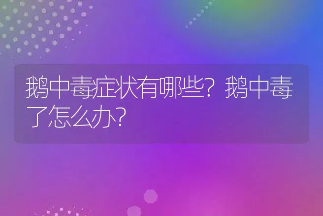 鹅中毒症状有哪些？鹅中毒了怎么办？ | 兽医知识大全