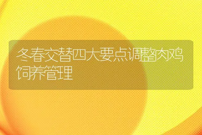 冬春交替四大要点调整肉鸡饲养管理 | 动物养殖