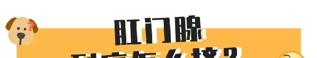 比屎臭N倍的肛门腺，到底该不该挤？ | 宠物狗病虫害防治