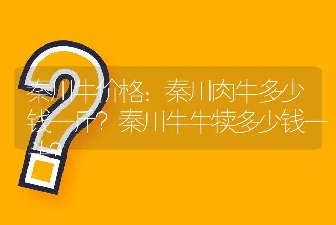 秦川牛价格：秦川肉牛多少钱一斤？秦川牛牛犊多少钱一头？ | 动物养殖