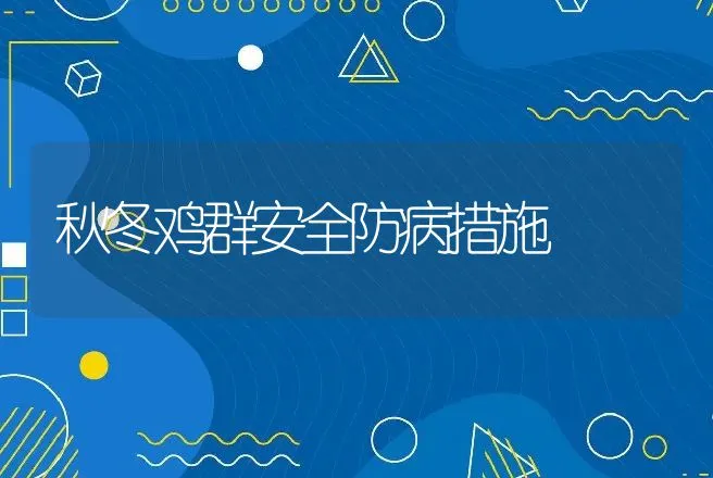 秋冬鸡群安全防病措施 | 动物养殖