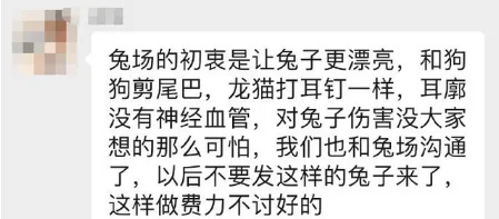 茶杯犬、折耳猫、断尾……那些死在整容里的宠物有多痛苦? | 宠物新闻资讯