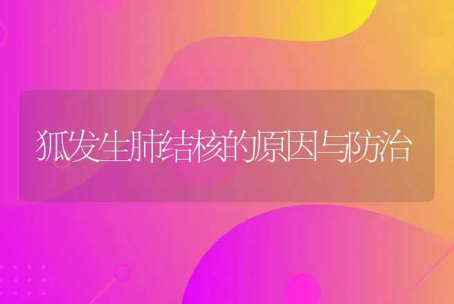 狐发生肺结核的原因与防治 | 动物养殖