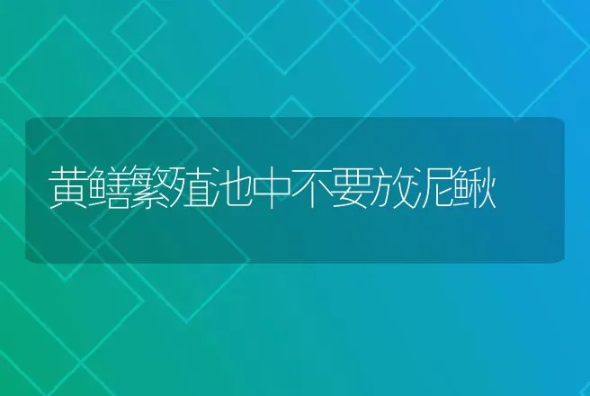 黄鳝繁殖池中不要放泥鳅 | 动物养殖