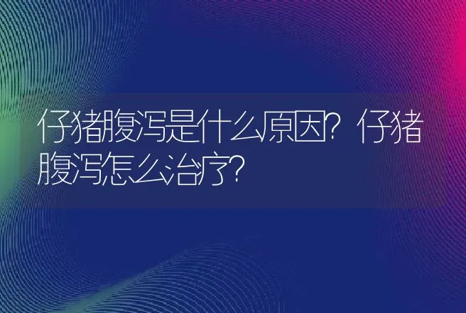 仔猪腹泻是什么原因？仔猪腹泻怎么治疗？ | 兽医知识大全