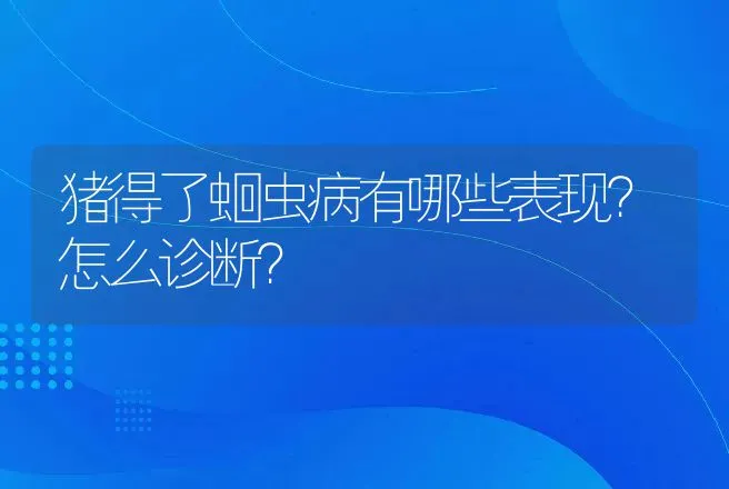 猪得了蛔虫病有哪些表现？怎么诊断？ | 兽医知识大全