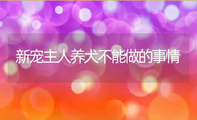 新宠主人养犬不能做的事情 | 宠物趣闻