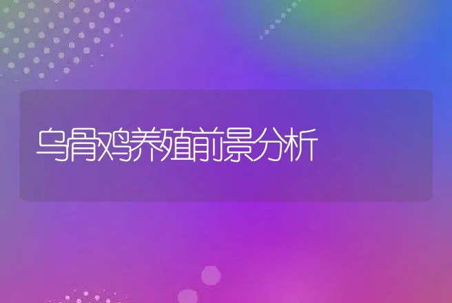 乌骨鸡养殖前景分析 | 养殖致富