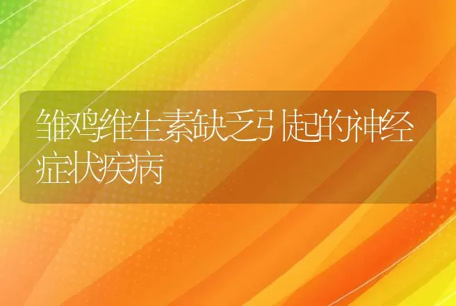 雏鸡维生素缺乏引起的神经症状疾病 | 动物养殖