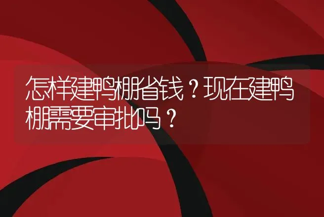 怎样建鸭棚省钱？现在建鸭棚需要审批吗？ | 兽医知识大全