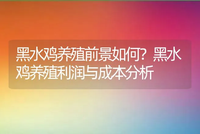 黑水鸡养殖前景如何？黑水鸡养殖利润与成本分析 | 养殖致富