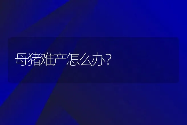 母猪难产怎么办？ | 兽医知识大全