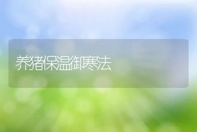 养猪保温御寒法 | 动物养殖